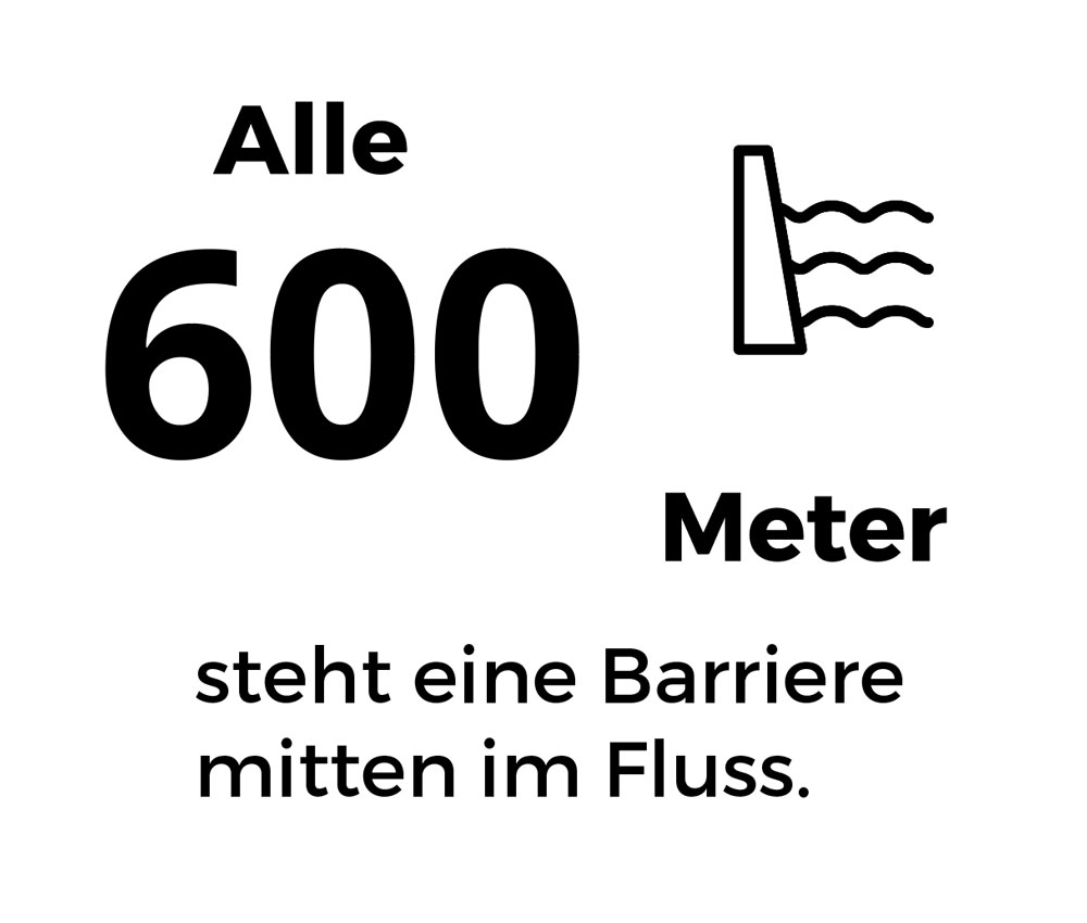 Alle 600m steht eine Barriere mitten im Fluss.