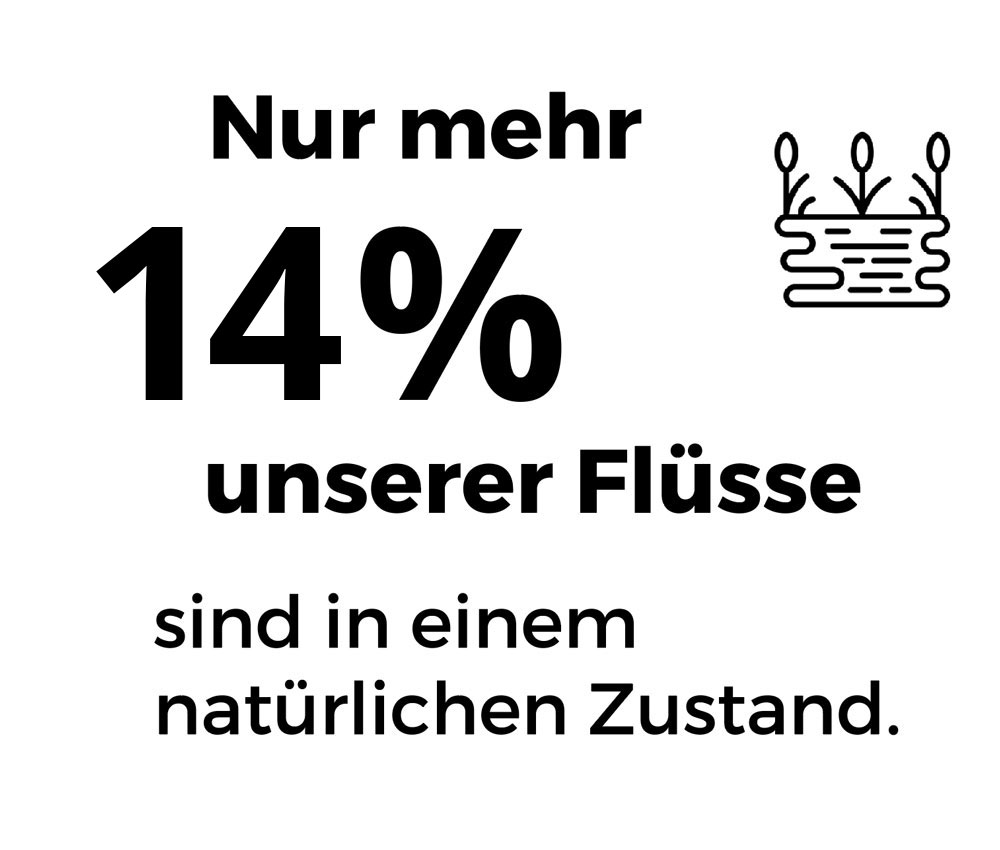 Nur mehr 15% unserer Flüsse sind in einem natürlichen Zustand.